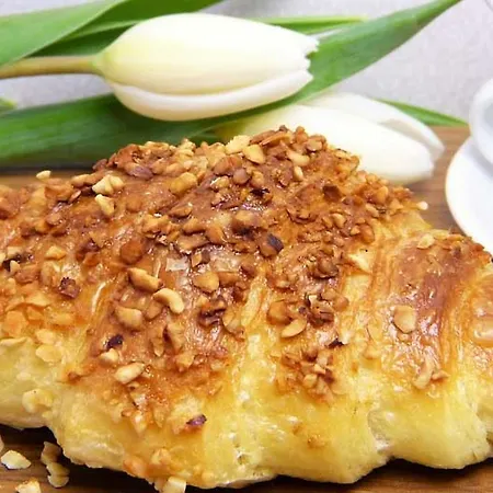 酒店 Residenz Seestern 3*